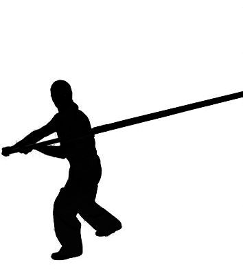 www.kungfuitalia.it kung fu academy scuola di arti marziali caserta italia di sifu salvatore mezzone imaa international martial arts alliance wing tjun tsun chun tai chi taijiquan qigong chi pilates mma muay thai bjj