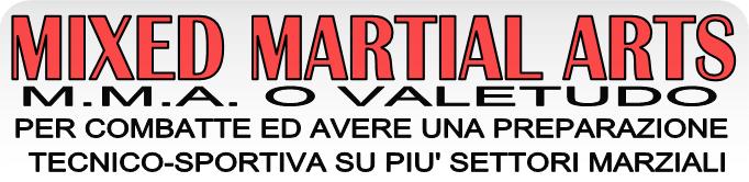 mix martial arts kung fu academy