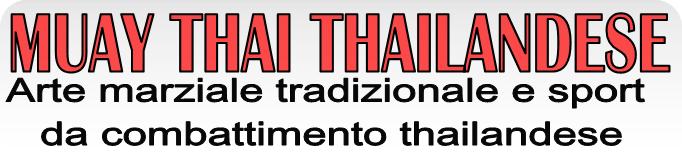 muay thai kung fu academy